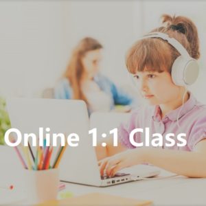 Online 1:1 class